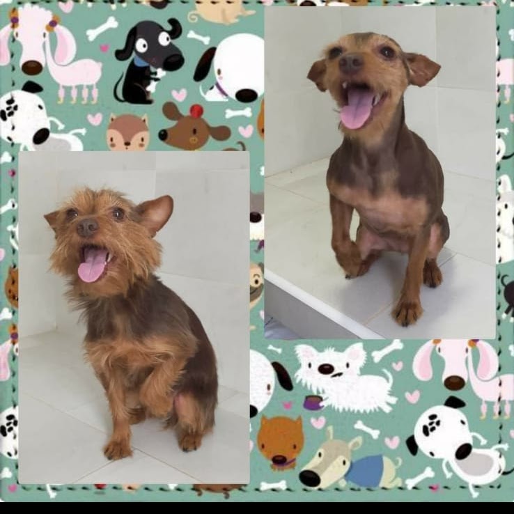 Y yo con estos pelos