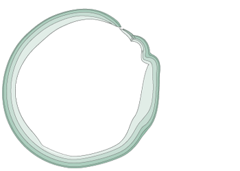 expande tu negocio como un ommgoo. SEO Diseño WEB CREATIVO.