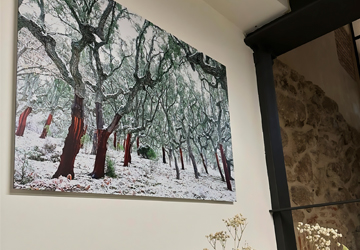 Ambito 12. Estudio de Arquitectura en Plasencia