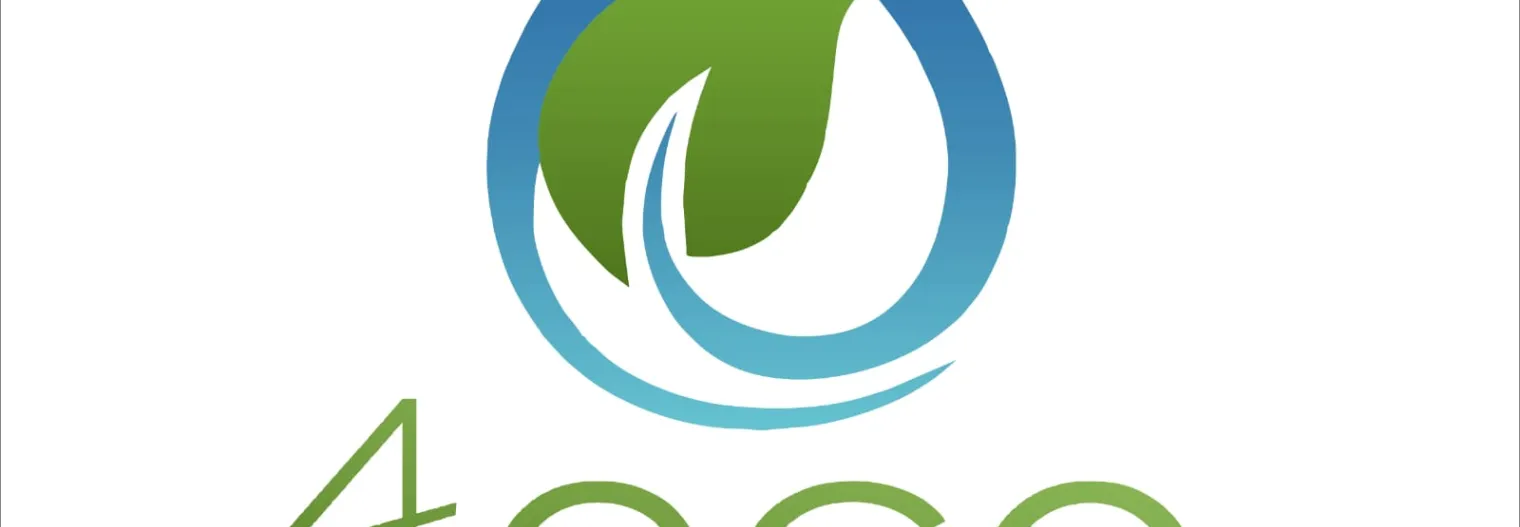 4 Eco Vegas Altas, tienda eco-sostenible de productos de limpieza a granel y cosmética e higiene natural ecológica 