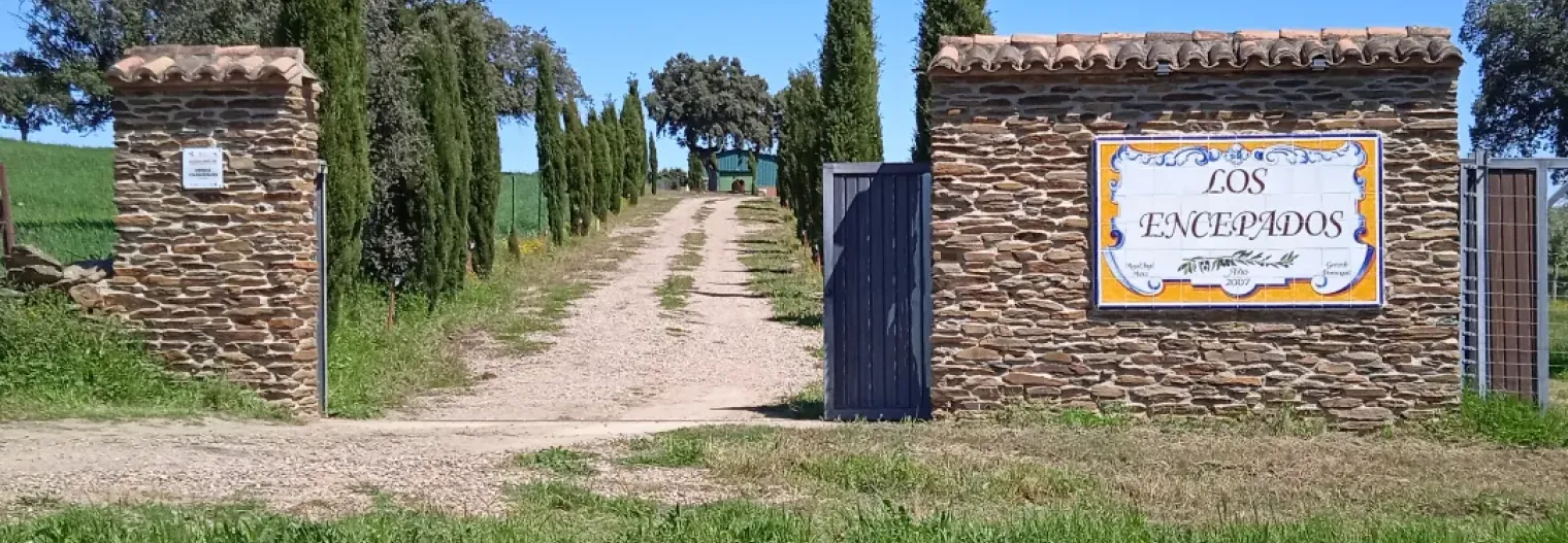Entrada Los Encepados