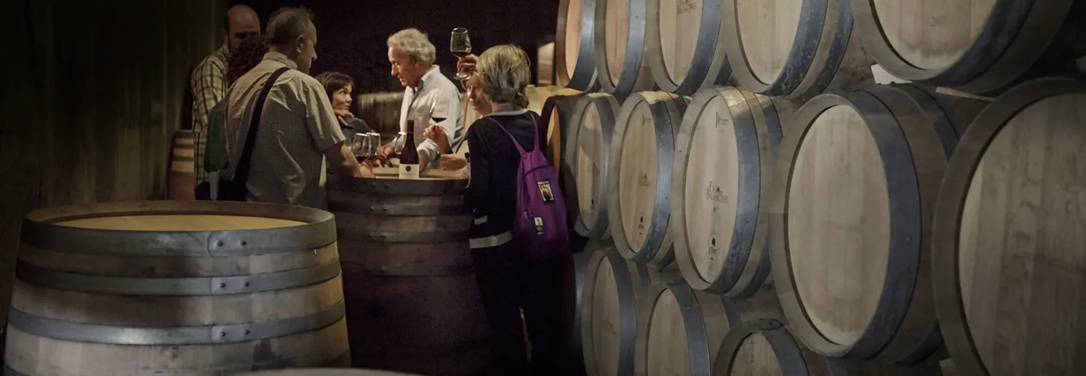 Grupo de amigos en una cata de vino en una bodega