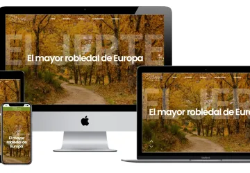 Creoideas Diseño Web