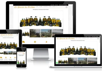 Web Aceites el puente de Gredos