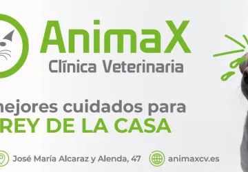 Planificación de campañas