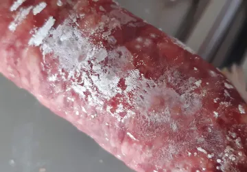 salchichón curado con levaduras