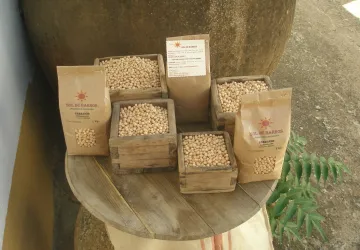 Garbanzo pedrosillano