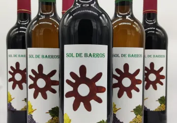 Caja surtida botellas