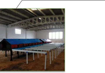 Granja de gallinas ecológicas ponedoras