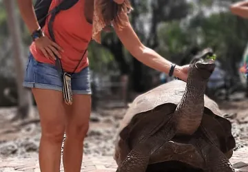 Nines Calle - Personal Traveler