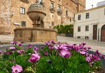 Plasense, Visitas guiadas por el Norte de Extremadura