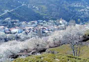 Plasense, Visitas guiadas por el Norte de Extremadura