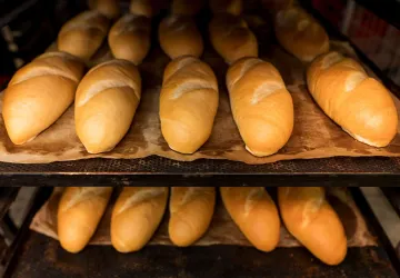 Bandeja de horno con panes