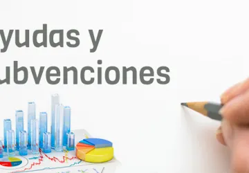 SUBVENCIONES